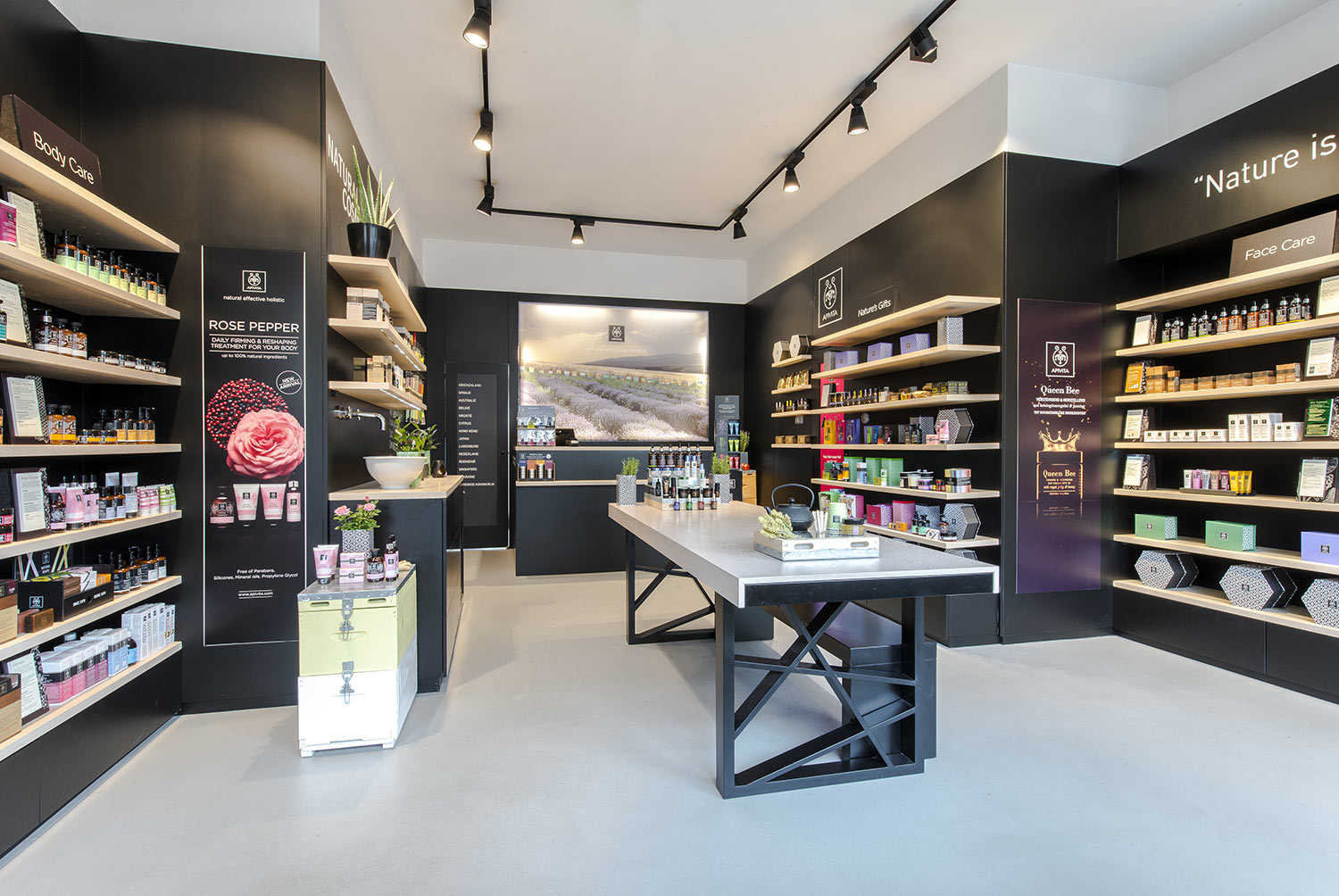 Zoomed project image