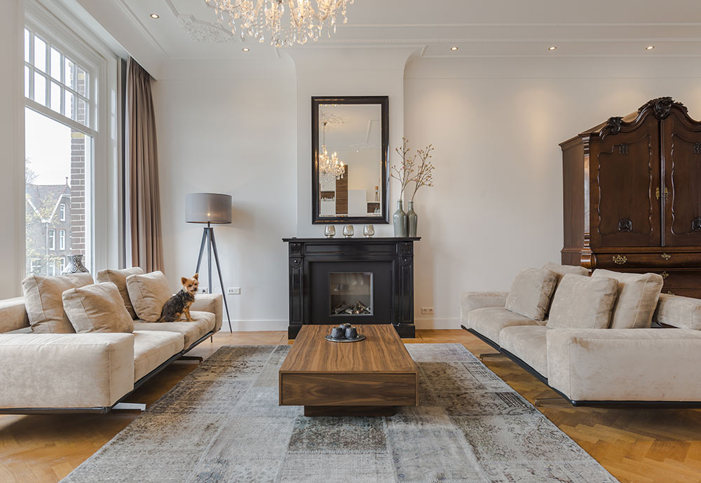 Zoomed project image